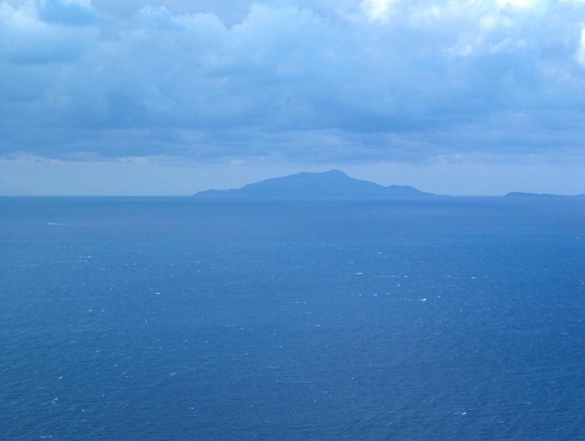 Terrazza Felicienne Daire Sorrento Dış mekan fotoğraf